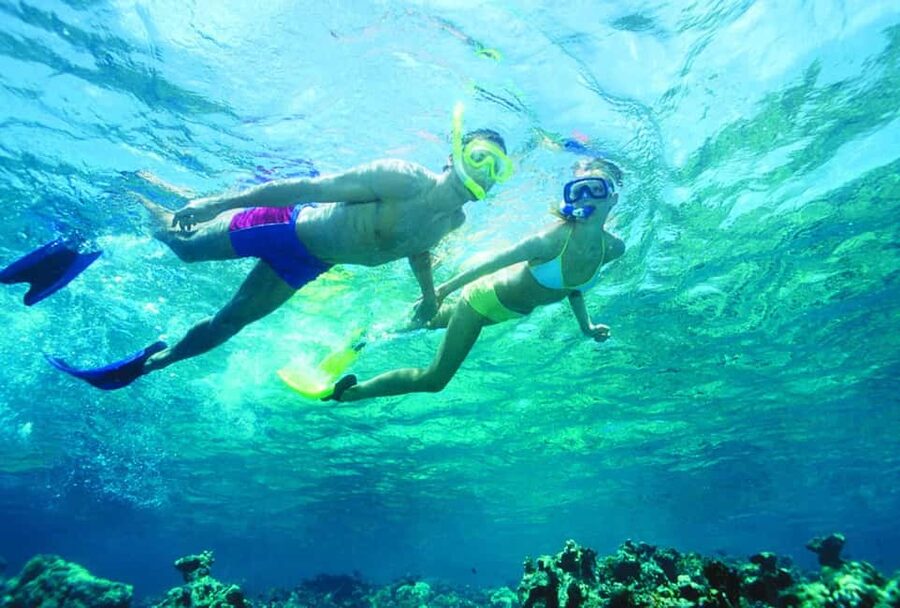 Nassau: Island Hopping Boat Trip with Lunch & Drinks - Green Cay turtles: a natural encounter, not a promise