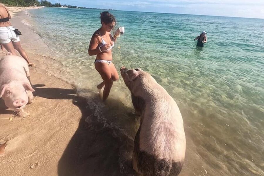 Nassau: Island Hopping Boat Trip with Lunch & Drinks - Lunch, drinks, and what you actually receive