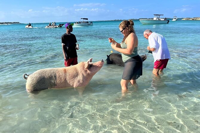 Nassau: Pig Island and Snorkeling Experience - A Private Beach And Time To Slow Down