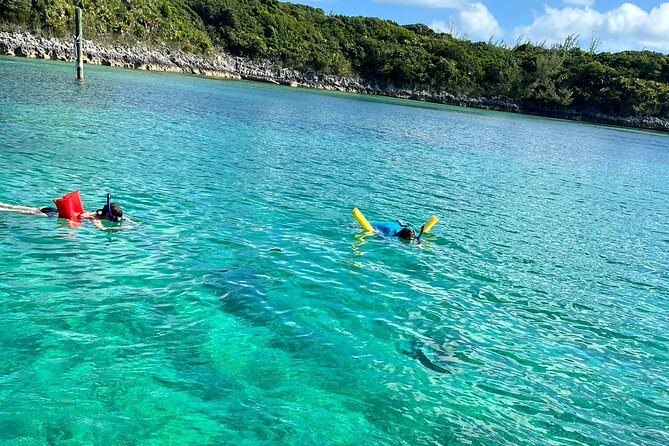 Nassau: Pig Island and Snorkeling Experience - The Personal Touch From Twister Adventure