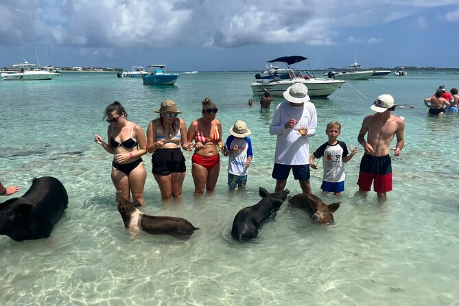 Nassau: Pig Island and Snorkeling Experience - Who Should Book This Two-Hour Tour?