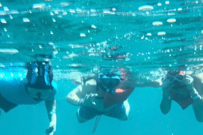 Nassau: Pig Island and Snorkeling Experience - Swimming With The Pigs