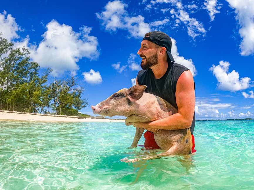 Nassau: Pigs Beach Trip by Boat with Swimming and Feeding - What the Pig Beach Time Really Feels Like
