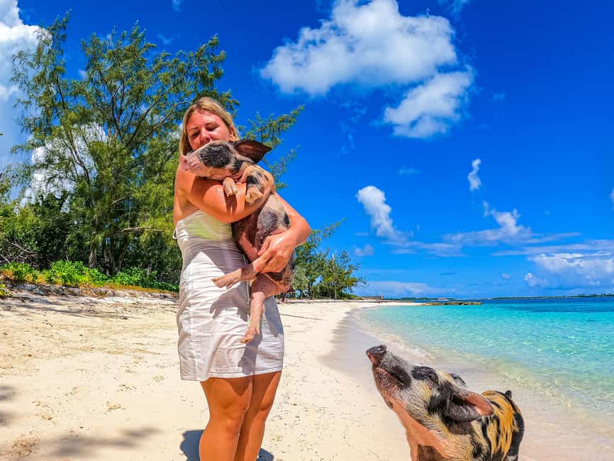 Nassau: Pigs Beach Trip by Boat with Swimming and Feeding - Pearl Island Adds Beach Time, With a Catch