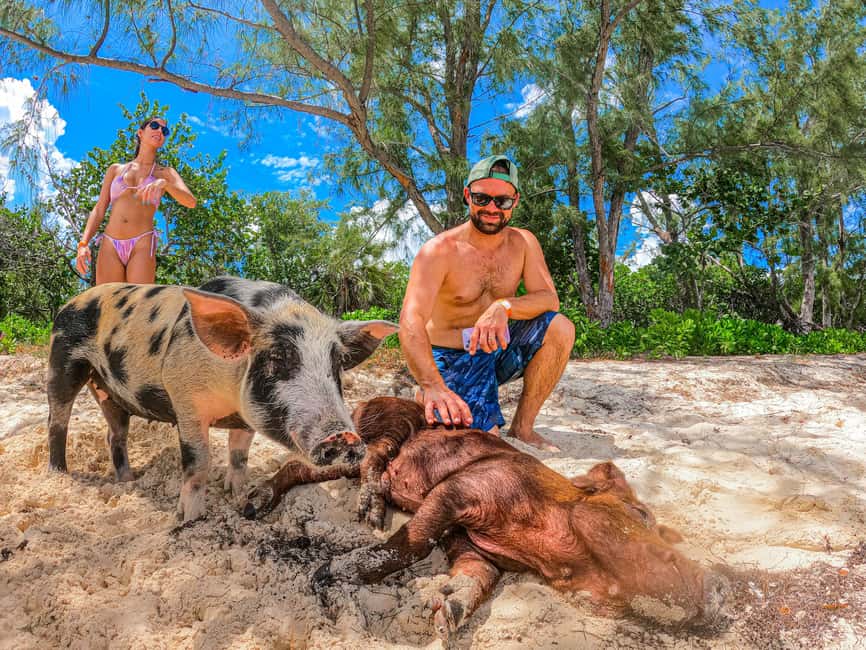 Nassau: Pigs Beach Trip by Boat with Swimming and Feeding - Boat Transfers and the Real Time Commitment
