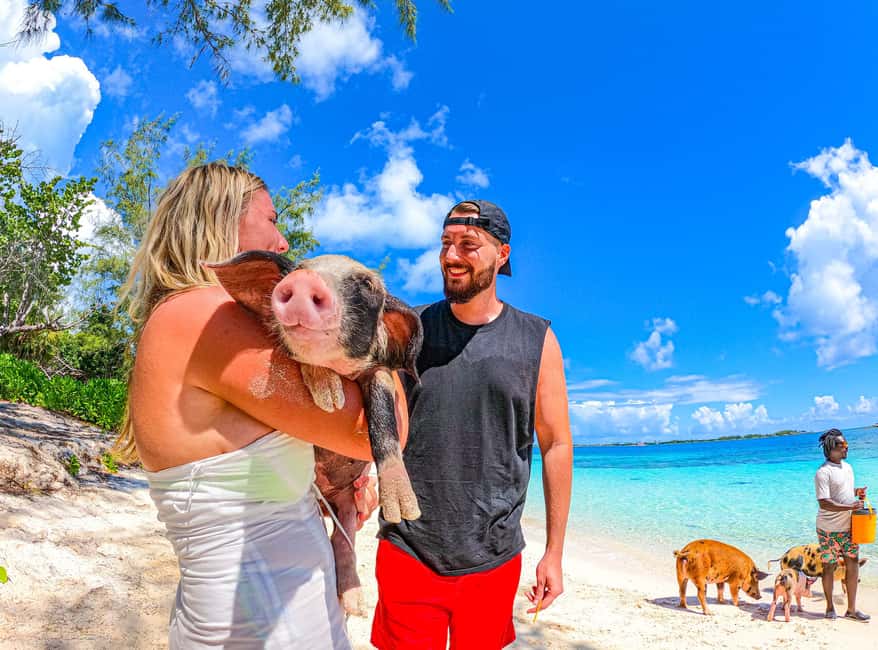 Nassau: Pigs Beach Trip by Boat with Swimming and Feeding - Should You Book SunCay’s Pig Beach Trip?