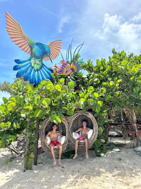 Nassau: Pigs, Snorkel, Turtles, Lunch, Private Beach Club - Timing, weather, and what to bring