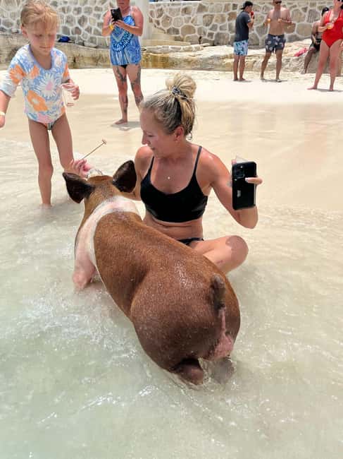 Nassau: Pigs, Snorkel, Turtles, Lunch, Private Beach Club - Why this four-hour Nassau tour works