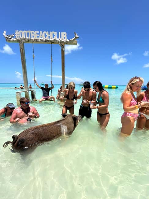 Nassau: Pigs, Snorkel, Turtles, Lunch, Private Beach Club - Reef snorkeling near Rose Island