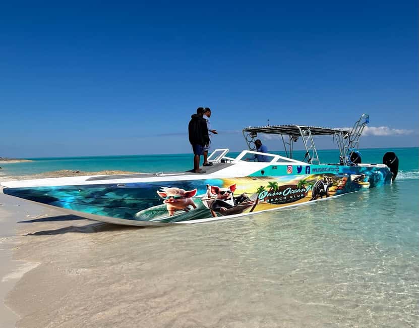 Nassau: Pigs, Snorkel, Turtles, Lunch, Private Beach Club - Arriving at Oasis Ocean 7 on Rose Island