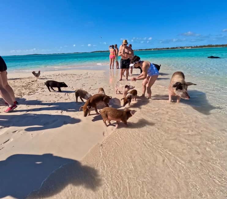 Nassau: Private Boat Charter Snorkel Tour - Green Cay offers a short scenic pause