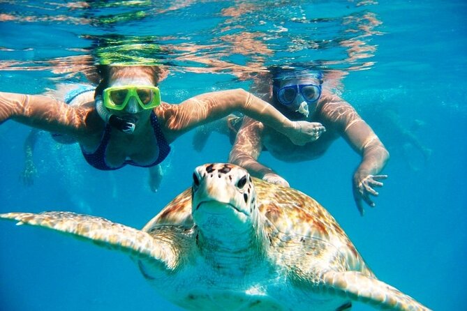 Nassau: Private Island & Snorkeling, Turtles, Drinks & BBQ - Key points to know before you book