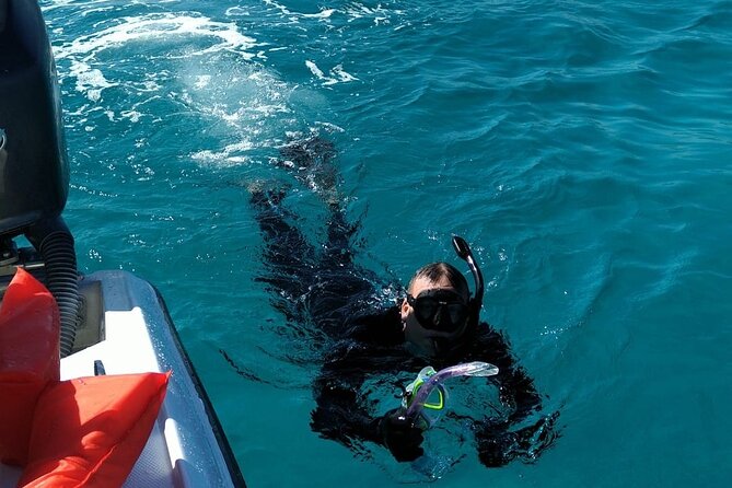 Nassau: Private Island & Snorkeling, Turtles, Drinks & BBQ - What the $100 Price Really Covers