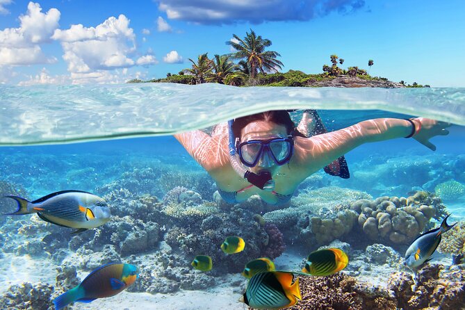 Nassau: Private Island & Snorkeling, Turtles, Drinks, & BBQ - Pearl Island reef snorkeling