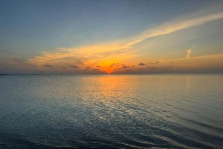 Nassau: Private Swim with Pigs and Snorkeling Adventure - Coral reefs, tropical fish, and time underwater