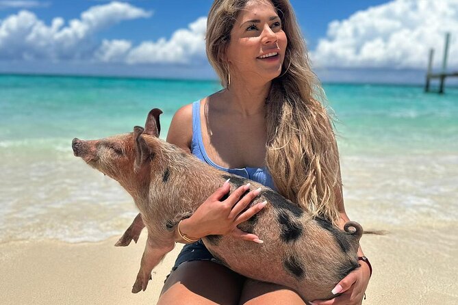Nassau, Private Swimming Pig, Island Hopping, Snorkeling, Turtles - A private speedboat day from Nassau