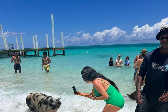 Nassau, Private Swimming Pig, Island Hopping, Snorkeling, Turtles - Rose Island gives the tour a beach break