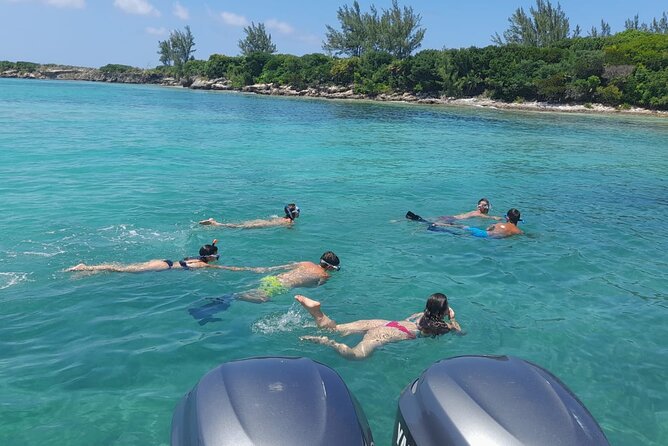 Nassau, Private Swimming Pig, Island Hopping, Snorkeling, Turtles - The swimming pigs are optional, not included