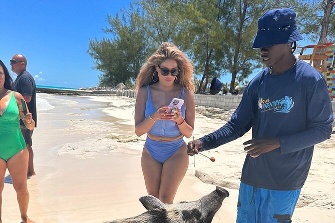 Nassau, Private Swimming Pig, Island Hopping, Snorkeling, Turtles - What the $799 private price really means