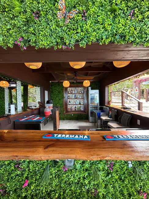 Nassau: Reef Snorkeling, Turtles, Lunch & Private Beach Club - Key points to know before you go
