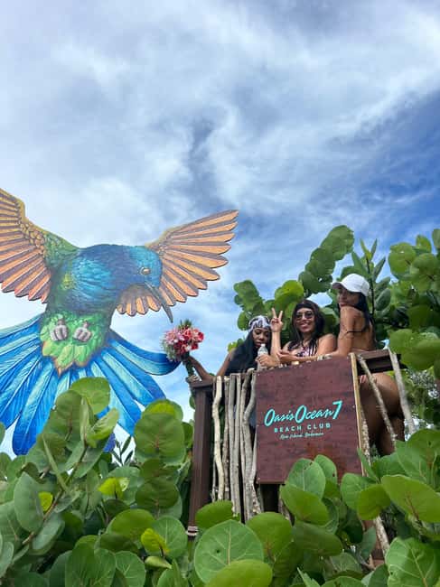 Nassau: Reef Snorkeling, Turtles, Lunch & Private Beach Club - Lunch, drinks, pigs, and the practical limits