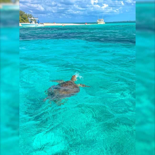 Nassau: Rose 3-Island Tour with Snorkeling and Lunch - Rose Island’s Two-Hour Beach Break