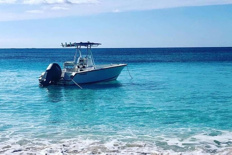 Nassau: Rose Island and Green Cay Private Snorkeling Tour - Key points at a glance