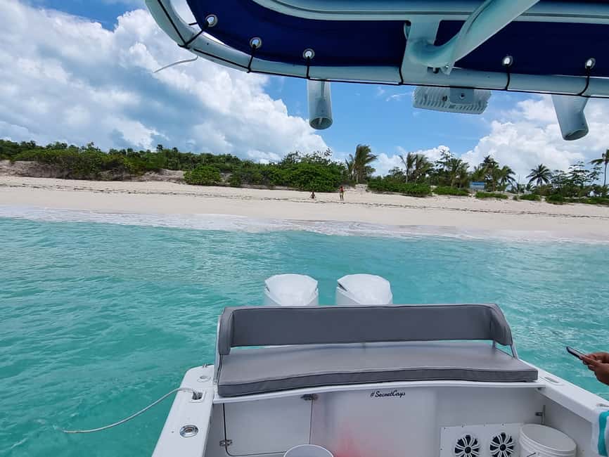 Nassau: Rose Island Swimming Pigs & Turtles Snorkeling Tour - The best parts at a glance