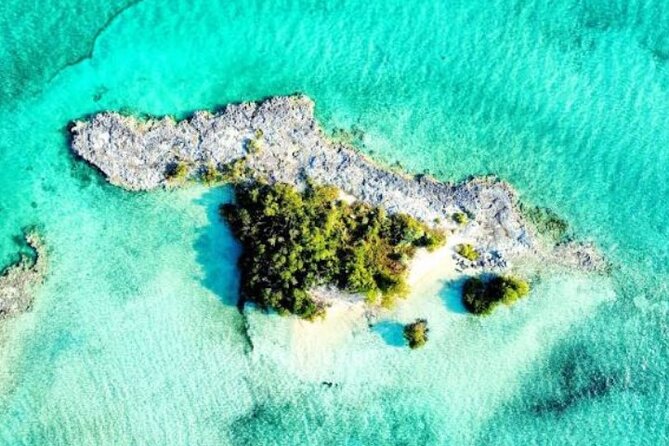 Nassau's Exclusive Kayaking Snorkeling Beach Adventure (6 Max) - Snorkeling Above Reef and Mangrove Life