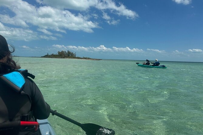 Nassau's Exclusive Kayaking Snorkeling Beach Adventure (6 Max) - How the $230 Price Holds Up