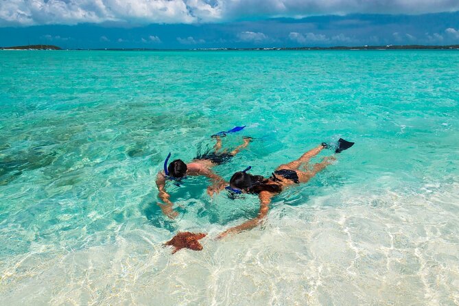 Nassau Sail & Snorkel Adventure with 1 Hour Open Bar - The quick take on this Nassau reef trip