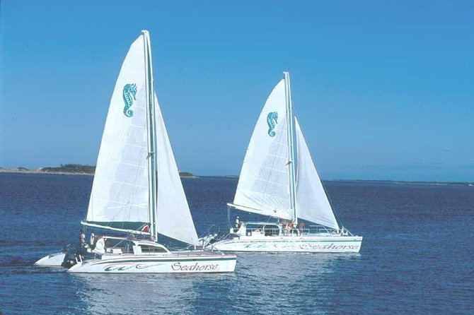 Nassau Sail & Snorkel Adventure with 1 Hour Open Bar - The open bar and the ride home