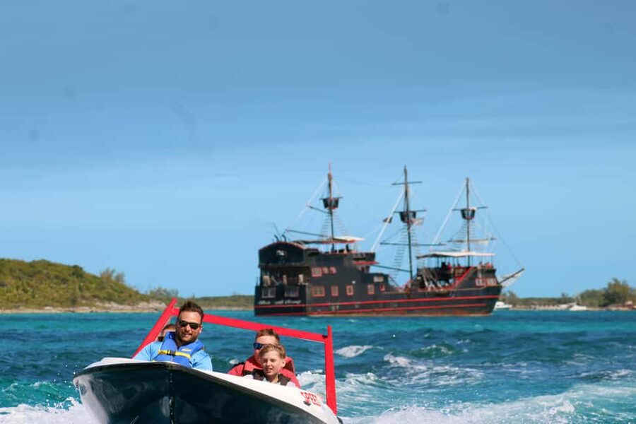 Nassau: Self-Drive Speedboat Ride and Pig Swimming Encounter - Meeting the pigs on Anthol Island