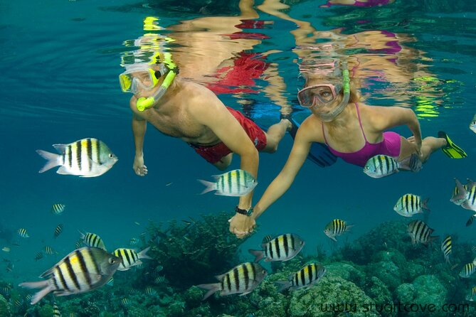Nassau Shore Excursion: Bahamas Snorkel Adventure - From Nassau port to the marina
