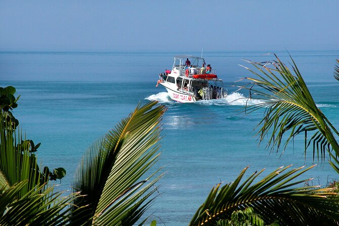 Nassau Shore Excursion: Bahamas Snorkel Adventure - The crew makes the difference