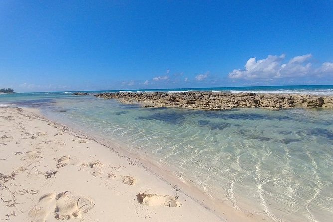 Nassau Shore Excursion: Sightseeing and Snorkeling Tour - Meeting your guide beside the Nassau cruise terminal