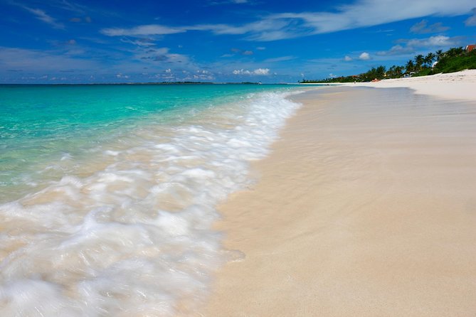 Nassau Shore Excursion: Sightseeing and Snorkeling Tour - Thirty minutes at the mini straw market