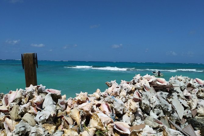 Nassau Shore Excursion: Sightseeing and Snorkeling Tour - Timing, comfort, and the cruise schedule