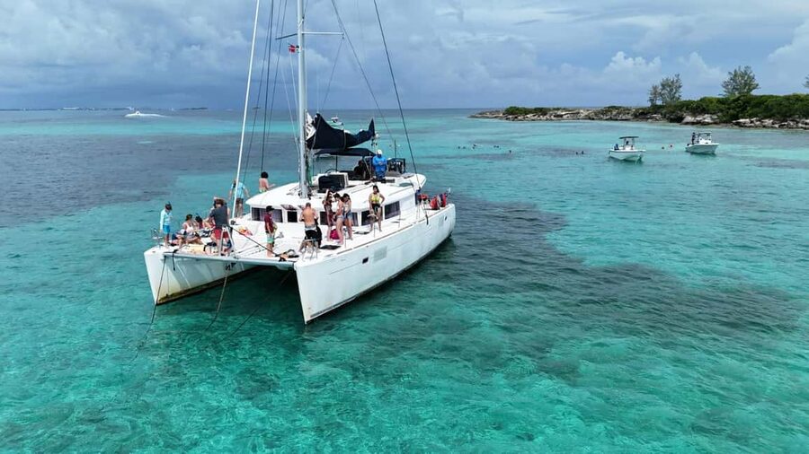 Nassau: Snorkeling, Pig Beach, Swim with Turtles, and Lunch - Turtle Country at Pearl Island