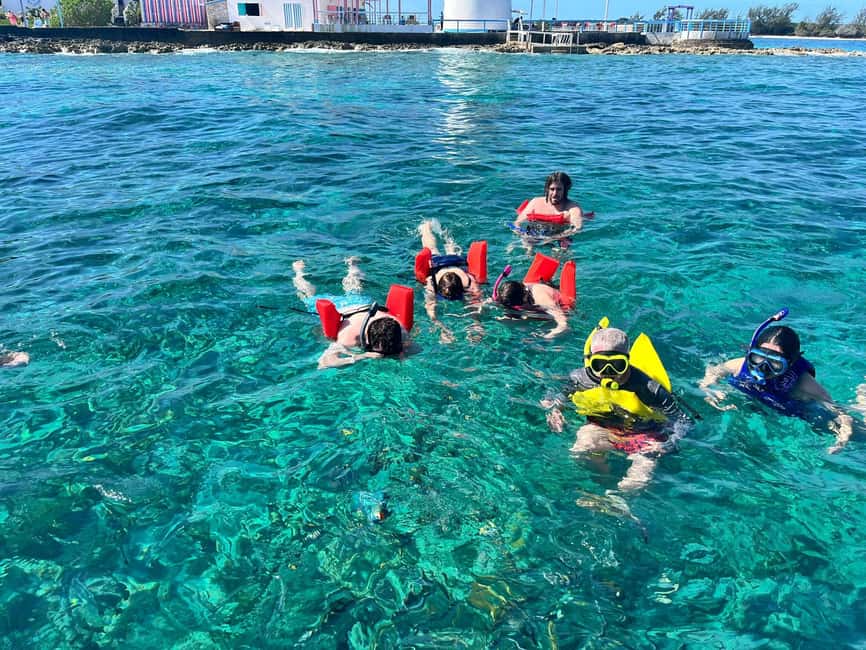 Nassau: Snorkeling, Swimming Pigs, Turtles & beach bar - Key points at a glance