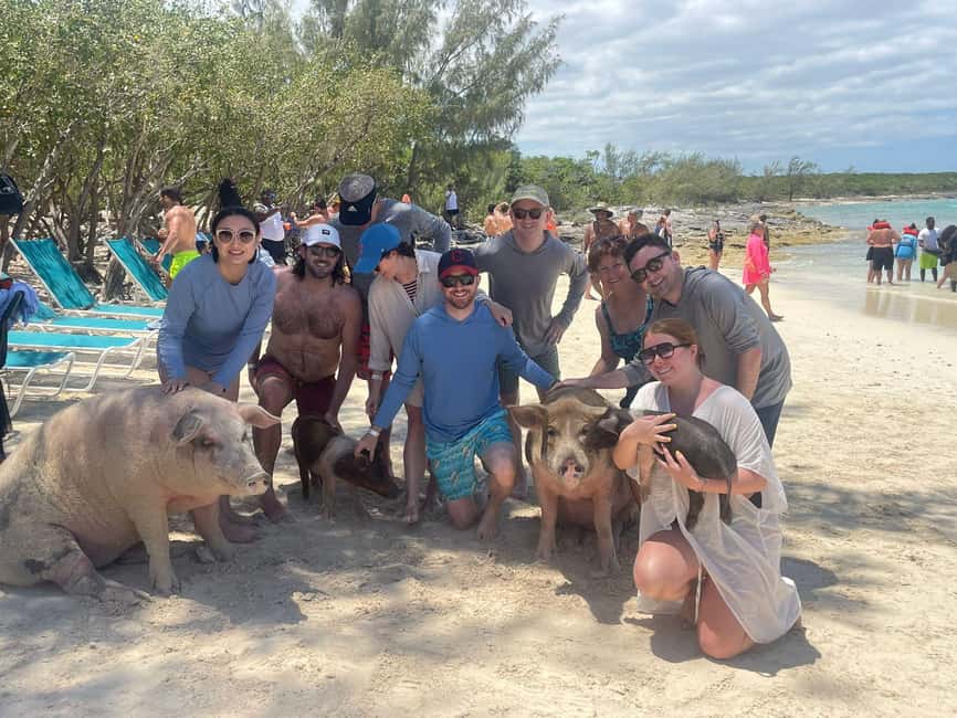 Nassau: Snorkeling, Swimming Pigs, Turtles & beach bar - How this compares with a standard group cruise