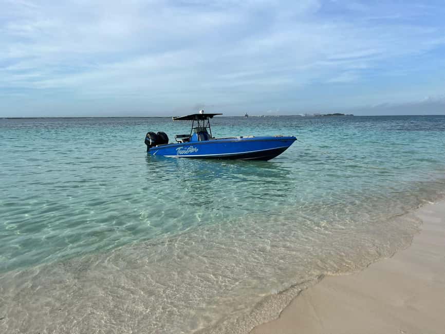 Nassau: Snorkeling, Swimming Pigs, Turtles & beach bar - Rose Island and 45 minutes of snorkeling