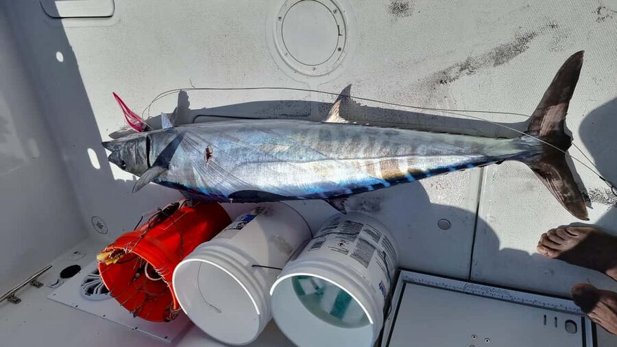 Nassau: Sport-fishing private charter . - Practical questions to ask before booking