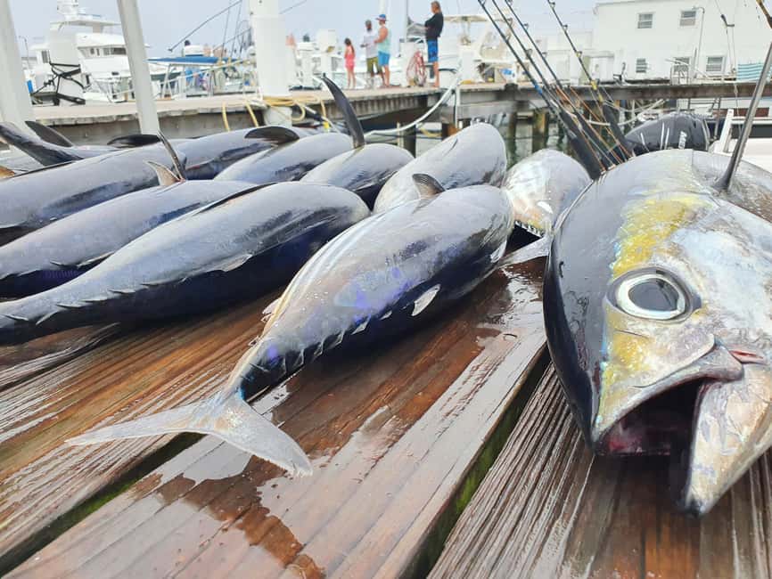 Nassau: Sport-fishing private charter . - Setting out from Paradise Island