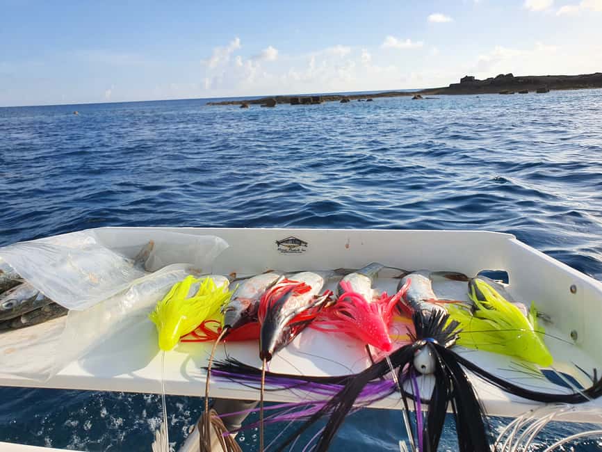 Nassau: Sport-fishing private charter . - What the four hours may feel like