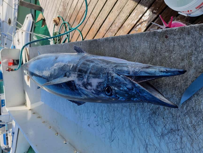 Nassau: Sport-fishing private charter . - Who will enjoy this Nassau charter most?