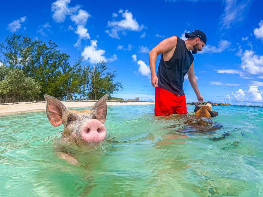 Nassau: Sun Cay and Swimming Pigs Boat Trip with Lunch - Key points to know before you go