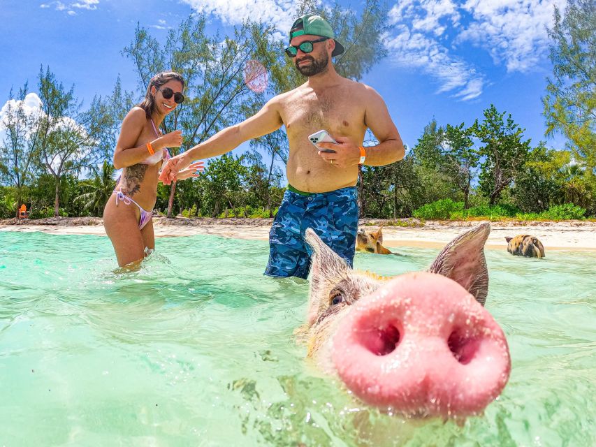 Nassau: Sun Cay and Swimming Pigs Boat Trip with Lunch - The guides make the organized format work