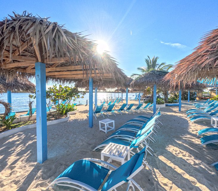 Nassau: Sun Cay Day Trip, Snorkel, Iguana Encounter, & Lunch - Who will enjoy this Sun Cay day?