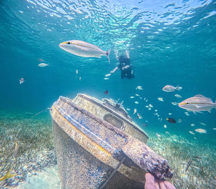 Nassau: Sun Cay Day Trip, Snorkel, Iguana Encounter, & Lunch - Snorkeling over a sailboat, plane, and sculptures